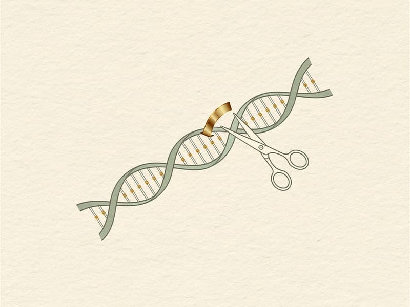 Gene Editing & Synthetic Biology