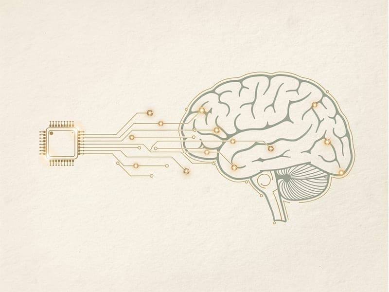 Neuroscience & Brain–Computer Interfaces
